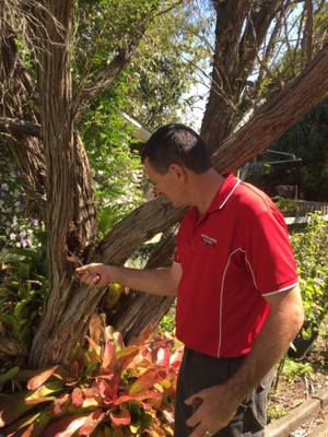 Sandgate Pest Control Pic 3 - The best way to DEFEND YOUR HOME against termite attack is book an annual timber pest inspection This inspection provides our technicians with important information and recommendations for a termite protection treatment at your property