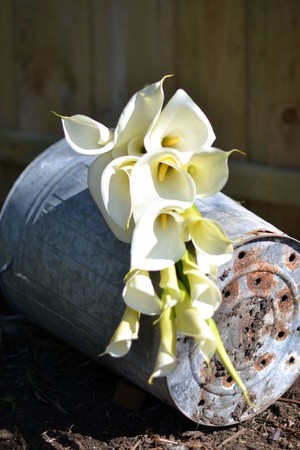 Flowers By REN Pic 4 - Flowers by REN 40 Red Rose Bridal Bouquet Mornington Peninsula weddings