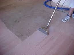 Billy's Carpet & Upholstery Cleaning Pic 3 - Clean Fresh