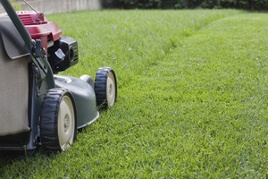 Quality Lawn Mowing Perth Pic 3