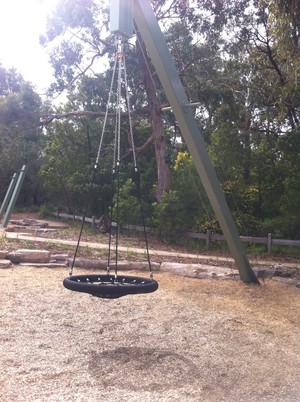 Valley Reserve Pic 2 - basket birds nest swing