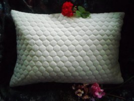 Debs Buckwheat Pillows Pic 2 - Soba Gara Makura also known as Japanese style buckwheat hull pillow