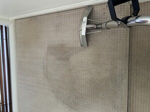 Noosa Professional Carpet & Upholstery Cleaning Pic 5