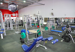 Genesis Fitness Club Kelmscott Pic 4 - Huge weights area dumbells to 60kg