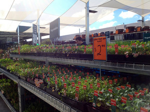 Bunnings Castle Hill Warehouse Pic 4