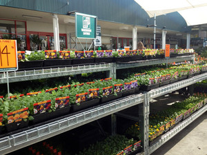 Bunnings Castle Hill Warehouse Pic 3