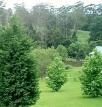 Avoca Valley Bed and Breakfast Pic 2