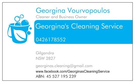 Georgina's Cleaning Service Pic 1