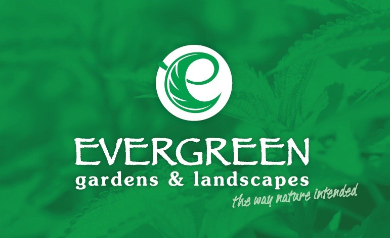 Evergreen Garden & Landscapes Pic 1