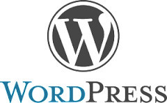 WP Copilot Pic 1 - WordPress Support Services