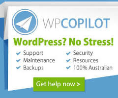 WP Copilot Pic 3 - We Fix WordPress Issues Fast