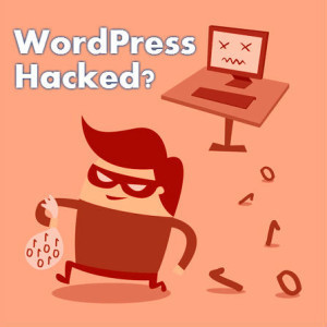 WP Copilot Pic 4 - WordPress Hacked We Can Help