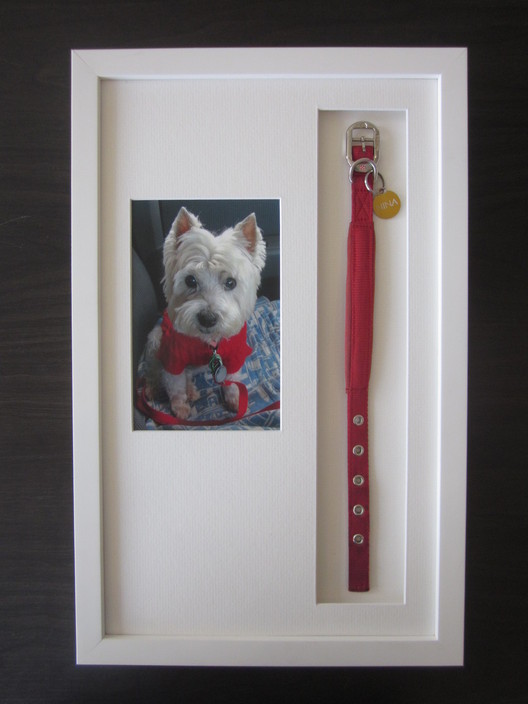 The Local Framing Studio Pic 1 - Pet Tributes