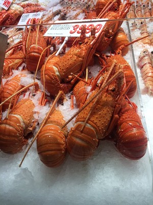 Sydney Fish Market Pic 4 - Rock lobsters