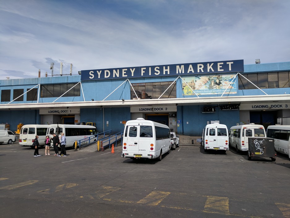 Sydney Fish Market Pic 1