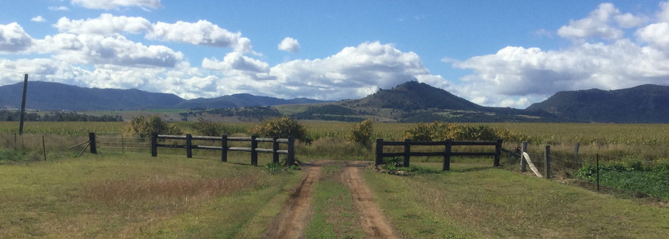 Majeca Contractors Pic 2 - Entrance fencing by Majeca Contractors