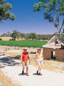 Brinkworth Country Lodge B&b Pic 1 - Clare Valley South Australia