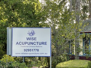 Wise Acupuncture Pic 3