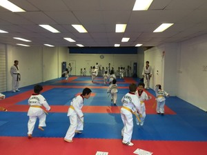 Taekwondo Kukki Pic 2 - Great Fun Keeps You Fit Gain Confidence