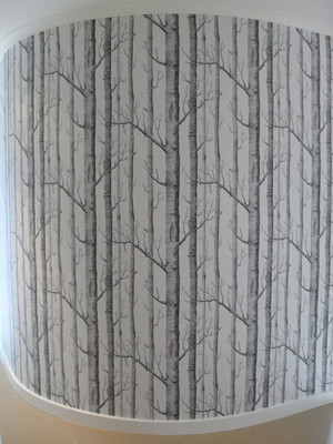 Prestige Wallpapering Pic 4 - Osborne Little Woods