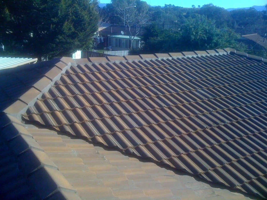 Elite Roofing Pic 1