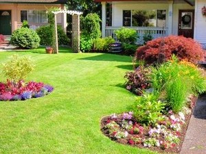 Green thumbs gardening Pic 2 - another yard completed by Green Thumbs Gardening