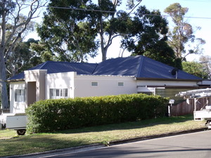 Pink Roofing Pic 2