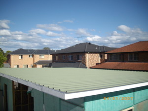 Pink Roofing Pic 5