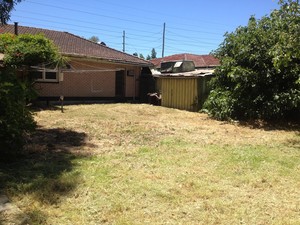 Alan's Garden Services Pic 4 - thisthe whole front and back yard was similar and I completed the cleanup in just 3 hours using powerful commercial equipment Owners were amazed