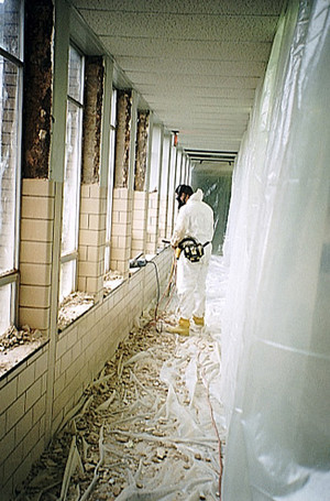 Hayden Industries Pic 2 - Asbestos Remover