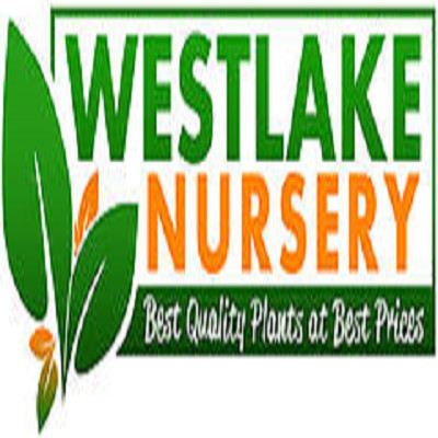 Westlake Nursery in Ardeer, Melbourne, VIC, Nurseries & Gardening ...