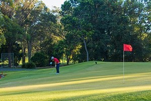 Gold Coast Golf Tours Pic 3