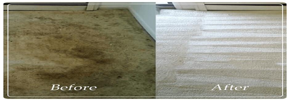 Carpet Cleaning Williamstown Pic 1