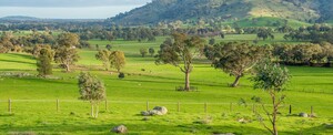 Blue Gum Farm (aust) Pty Ltd Pic 2