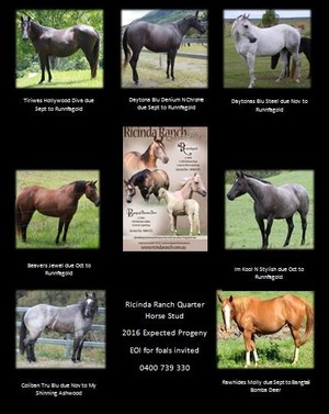 Ricinda Ranch Pic 2 - Mares Due 2016