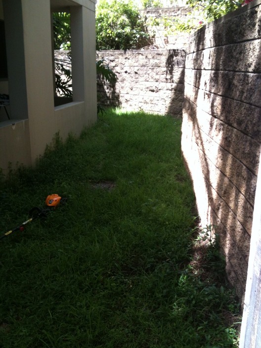 Lawn Mowing And Home Maintenance Pic 2 - Before