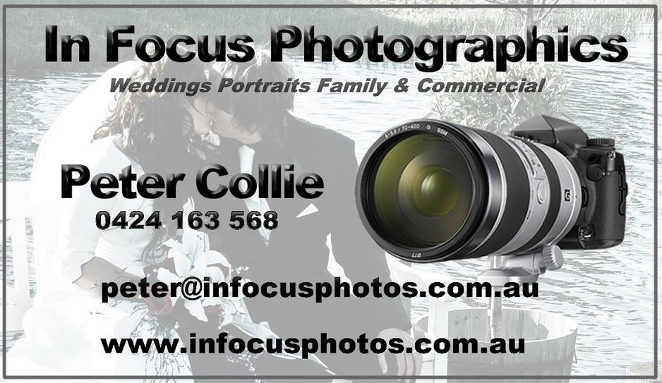 In Focus Photographics Pic 1