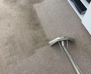 Carpet Cleaning Eagleby Pic 4