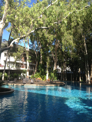 Grand Mercure Rockford Esplanade Apartments Palm Cove Pic 2 - Gums palms ring the pools