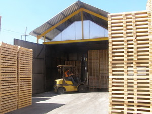 Pallet Masters Pic 3