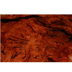 Red Sunset Furniture Pic 1 - Red Gum Burl Coffee Table Top