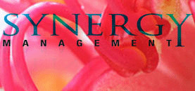 Synergy Management Pic 1