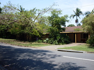 MowJo Mowing And Landscaping Pic 3 - client asked to leave the tree cover for shade and privacy