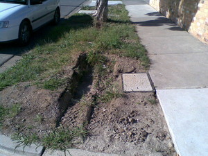 Armzy's Gardening & Maintenance Pic 3