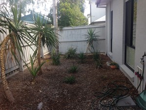 Queenslander Outdoor Service Pic 2 - Central after