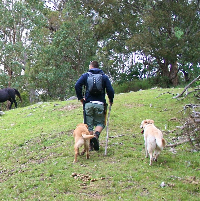 Paws Outdoors Dog Walking Pic 1