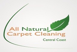 All Natural Carpet Cleaning Pic 1