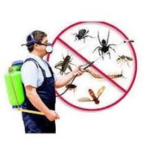 Marks Pest Control Pic 1