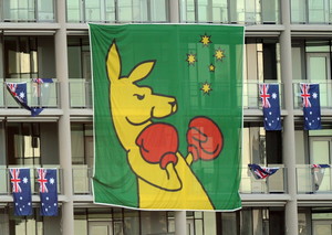 Ausyflags Pic 5