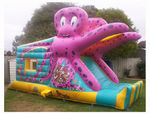 Ace Bouncing Castles Pic 2